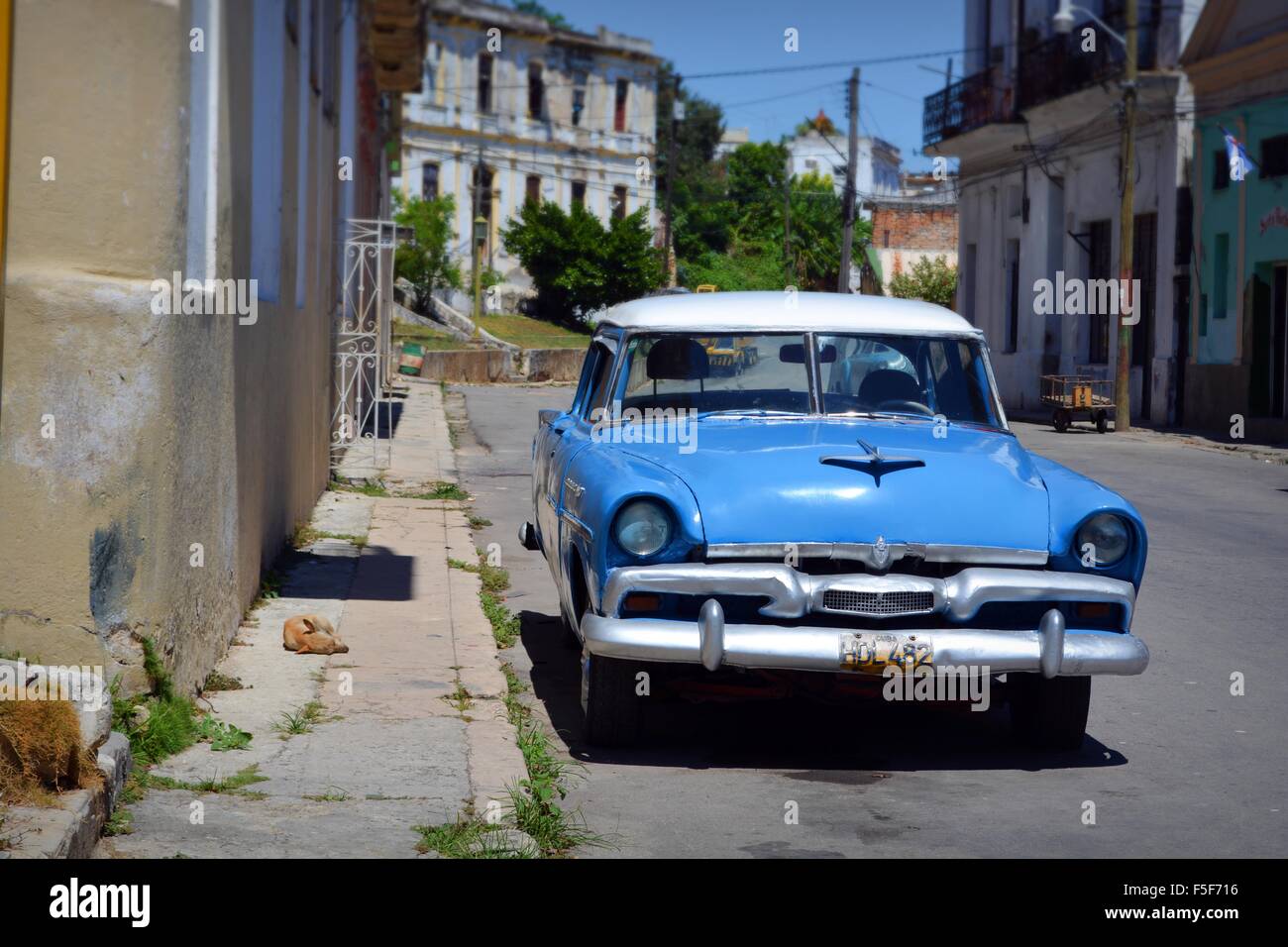 Parcheggiato blu e bianco vintage auto su una tranquilla e soleggiata Casablanca Street con il cane a pelo Avana Cuba nei pressi di Che Guevara's house Foto Stock