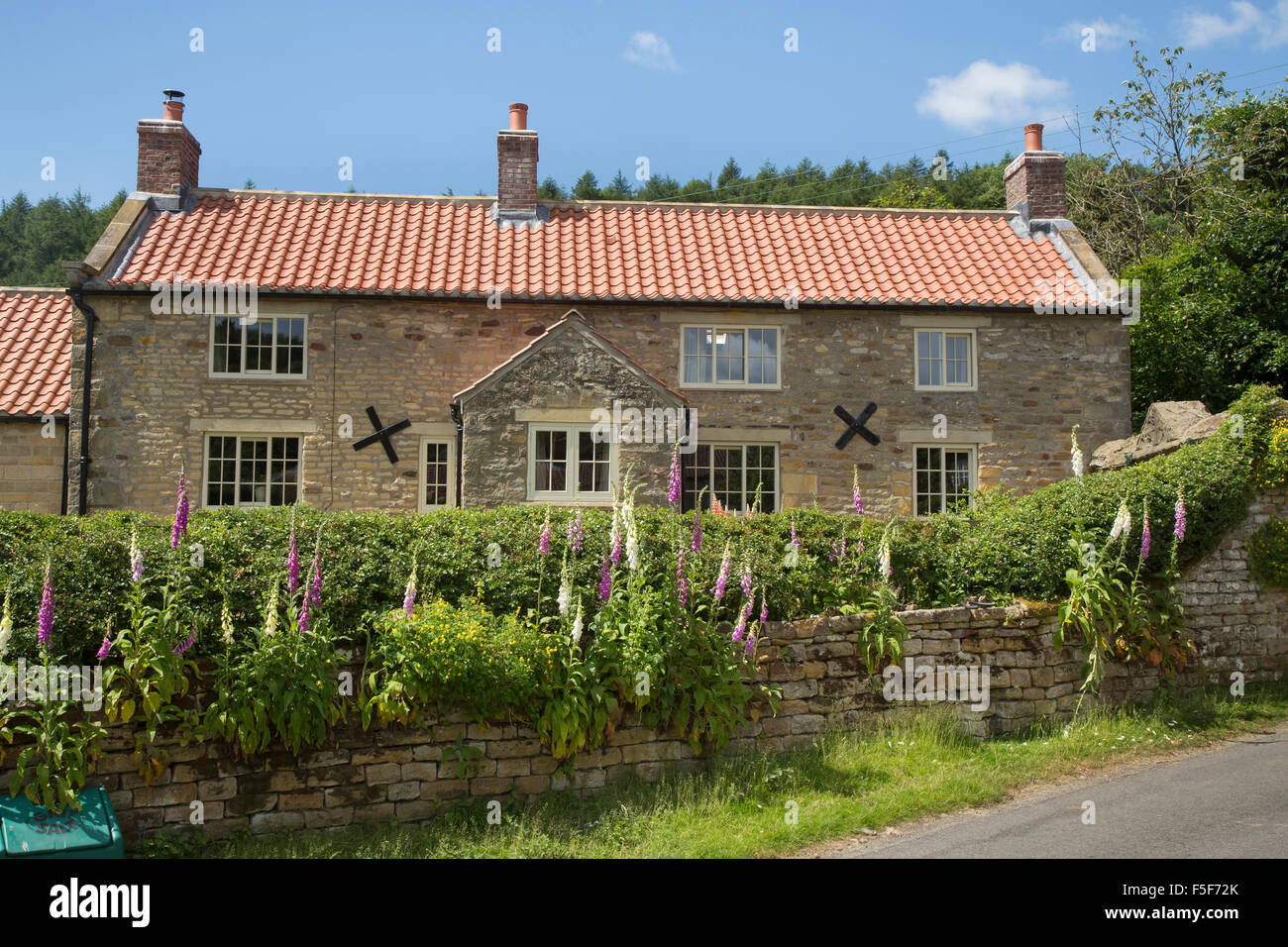 Cottage e guanti di Fox. Hutton Le Hole, North Yorkshire Foto Stock