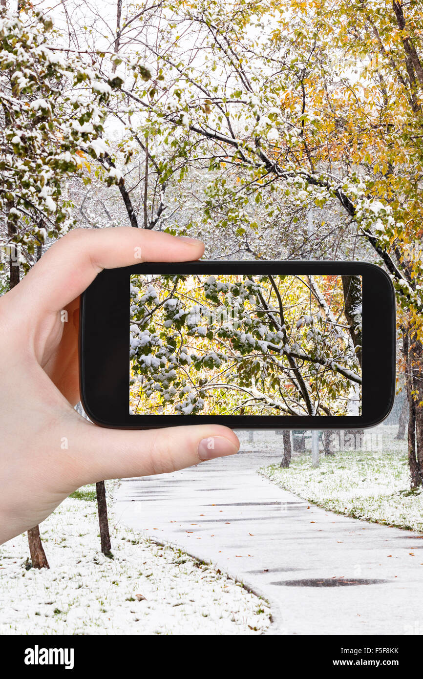 Concetto di stagione - uomo prendendo foto della prima neve sugli alberi nel parco cittadino sullo smartphone Foto Stock