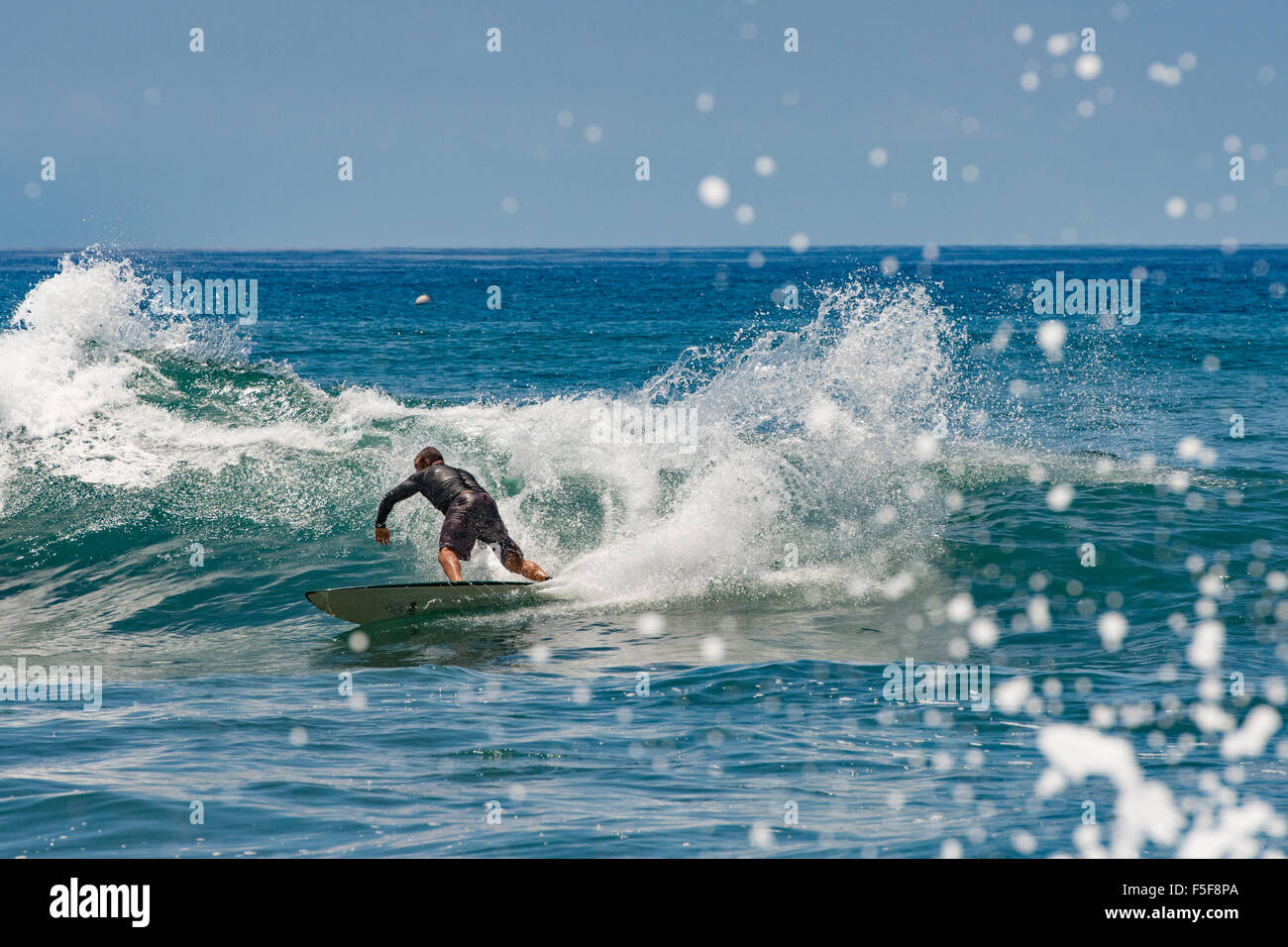 Surfer a Lahaina Harbor, Maui, Hawaii, Foto Stock