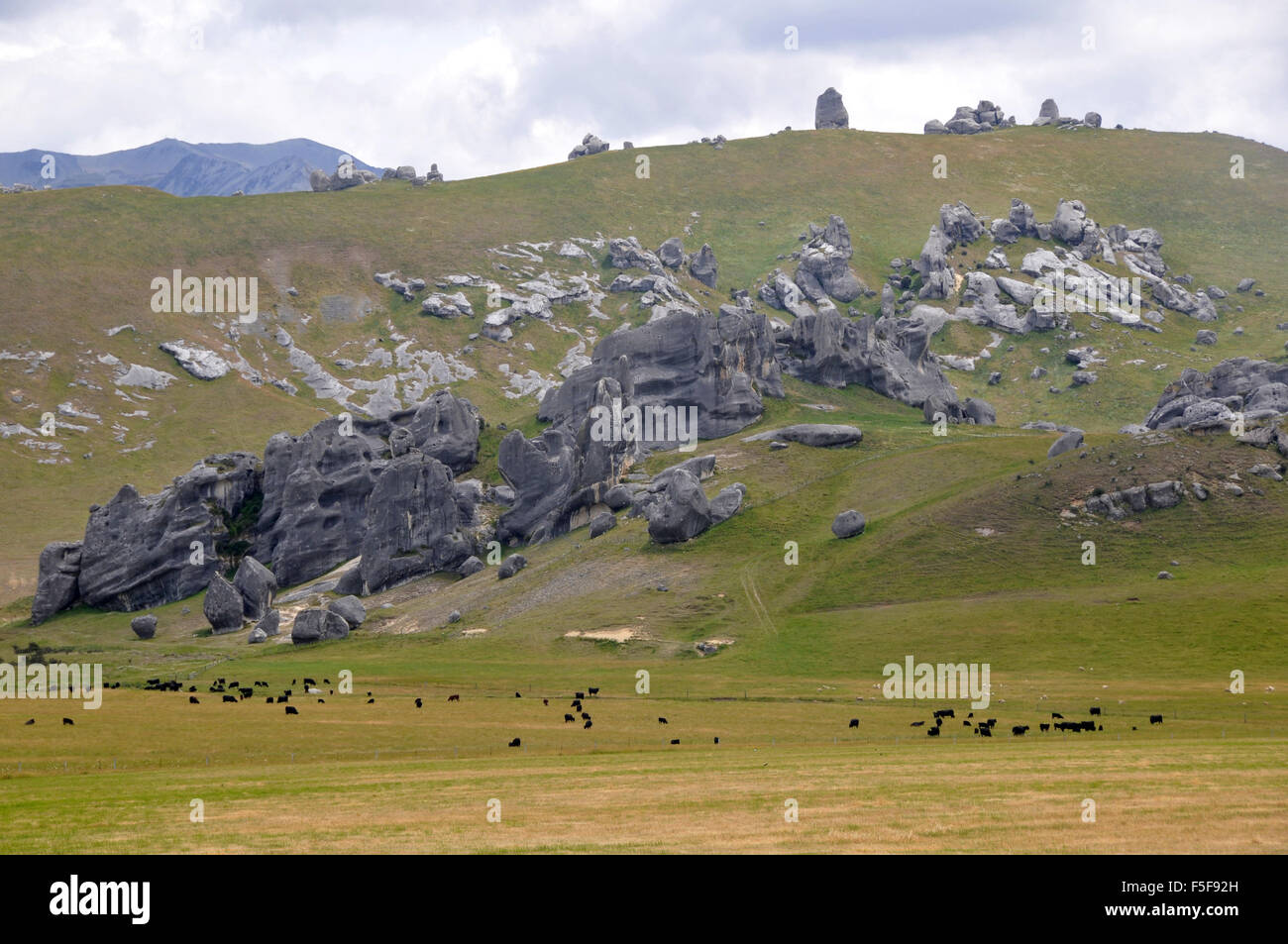 Geologico formazioni calcaree a Kura Tawhiti o Castle Hill Conservation Area, Arthur's Pass, Isola del Sud, Nuova Zelanda Foto Stock