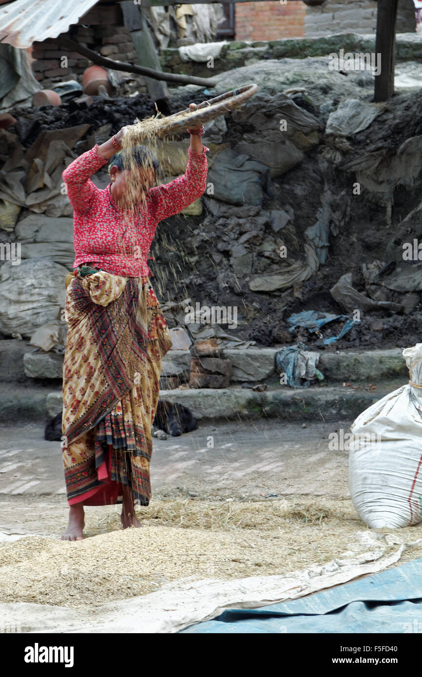 Nepalese vento donna spulatura (essiccazione e ordinamento) riso poco dopo il raccolto di Bhaktapur, Nepal. Foto Stock