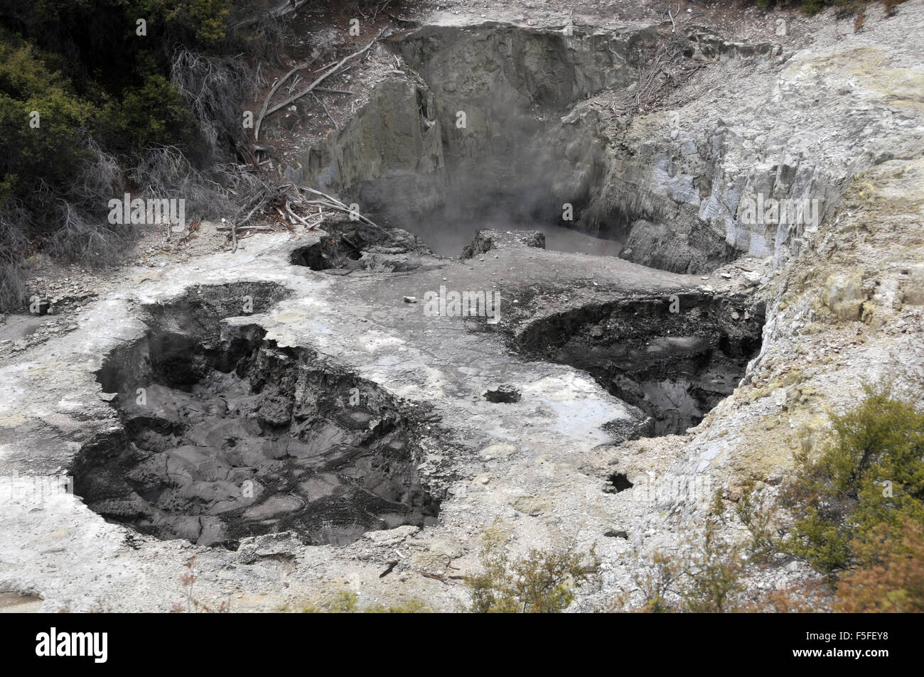 Piscine di fango bollente, a Waiotapu Thermal Wonderland, Isola del nord, a Rotorua, Nuova Zelanda Foto Stock