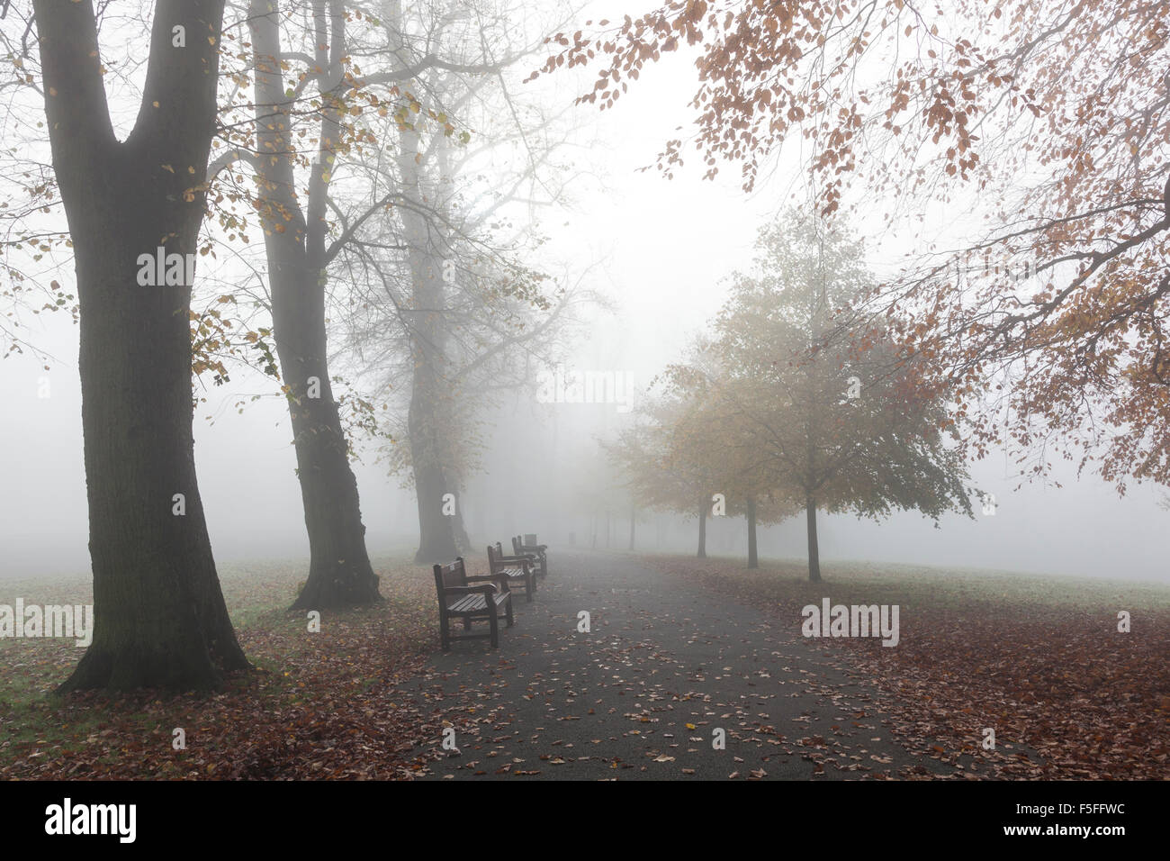 Waterlow Park nella nebbia, a nord di Londra, Regno Unito Foto Stock