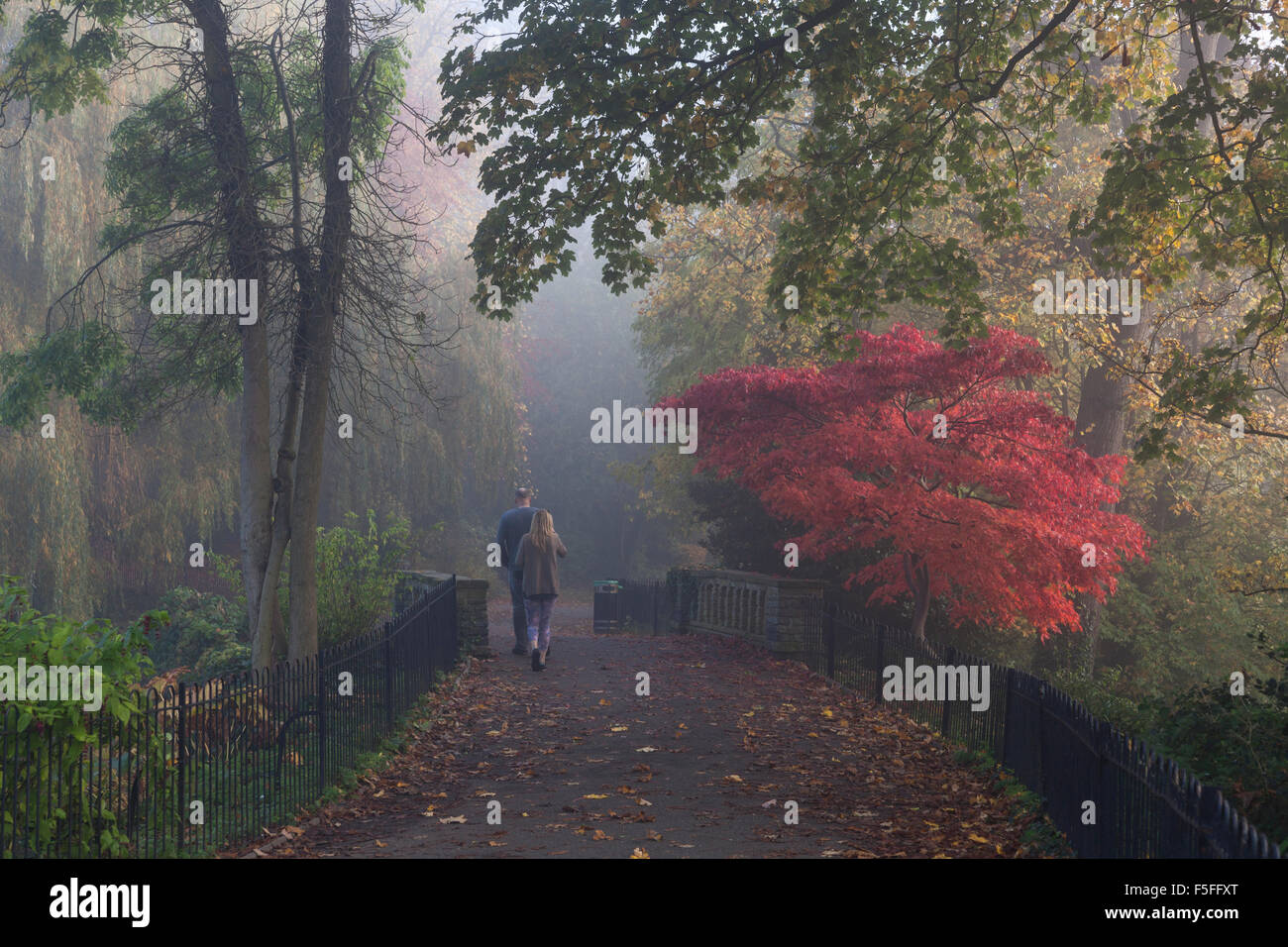 Waterlow Park nella nebbia, a nord di Londra, Regno Unito Foto Stock