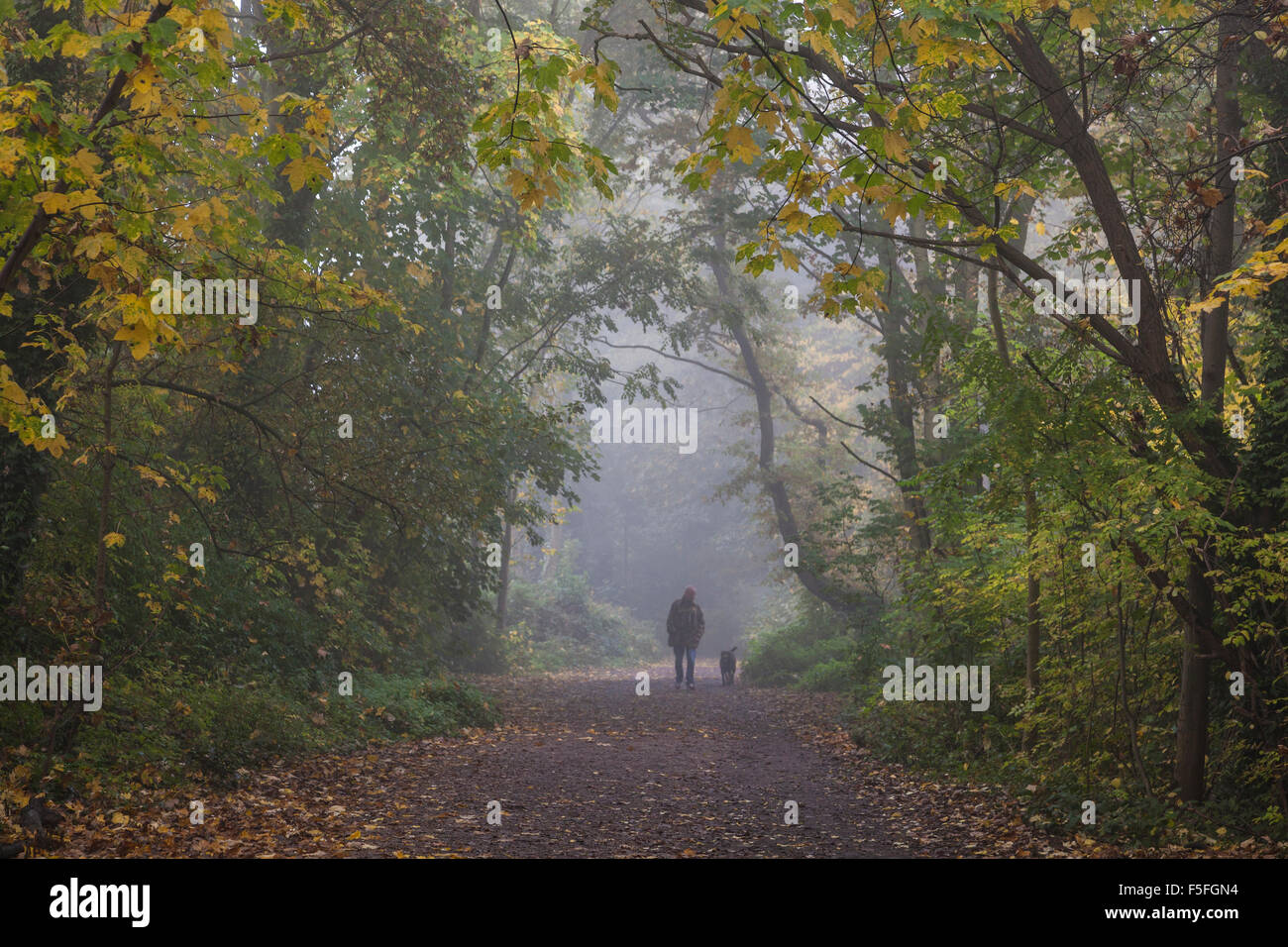 Il Parco a piedi in Highgate in una nebbiosa mattina, London, Regno Unito Foto Stock