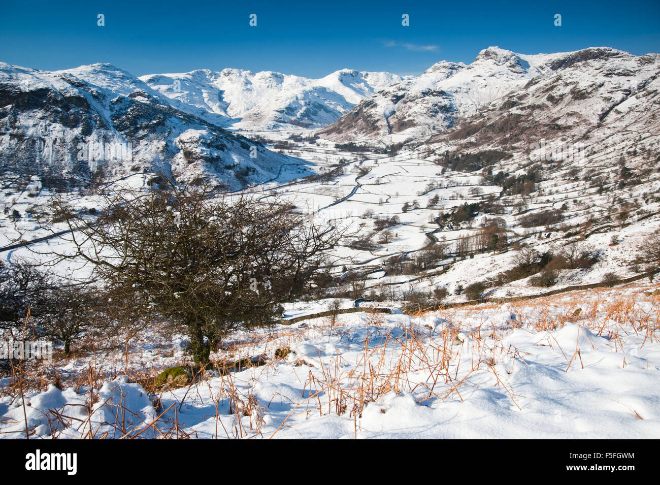 Vista di Langdale e The Langdale Pikes nel Parco Nazionale del Distretto dei Laghi, UK, su una gloriosa giornata di sole dopo una notte di neve. Foto Stock