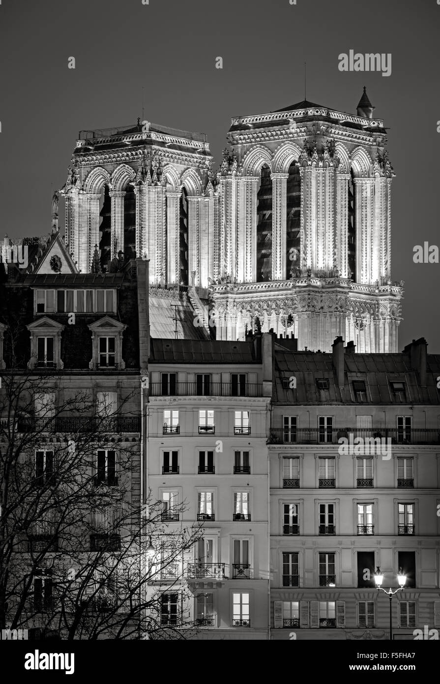 Del gotico francese le torri della cattedrale di Notre Dame de Paris illuminata di notte. Ile de la Cite, 4th Arrondissement, Parigi, Francia Foto Stock