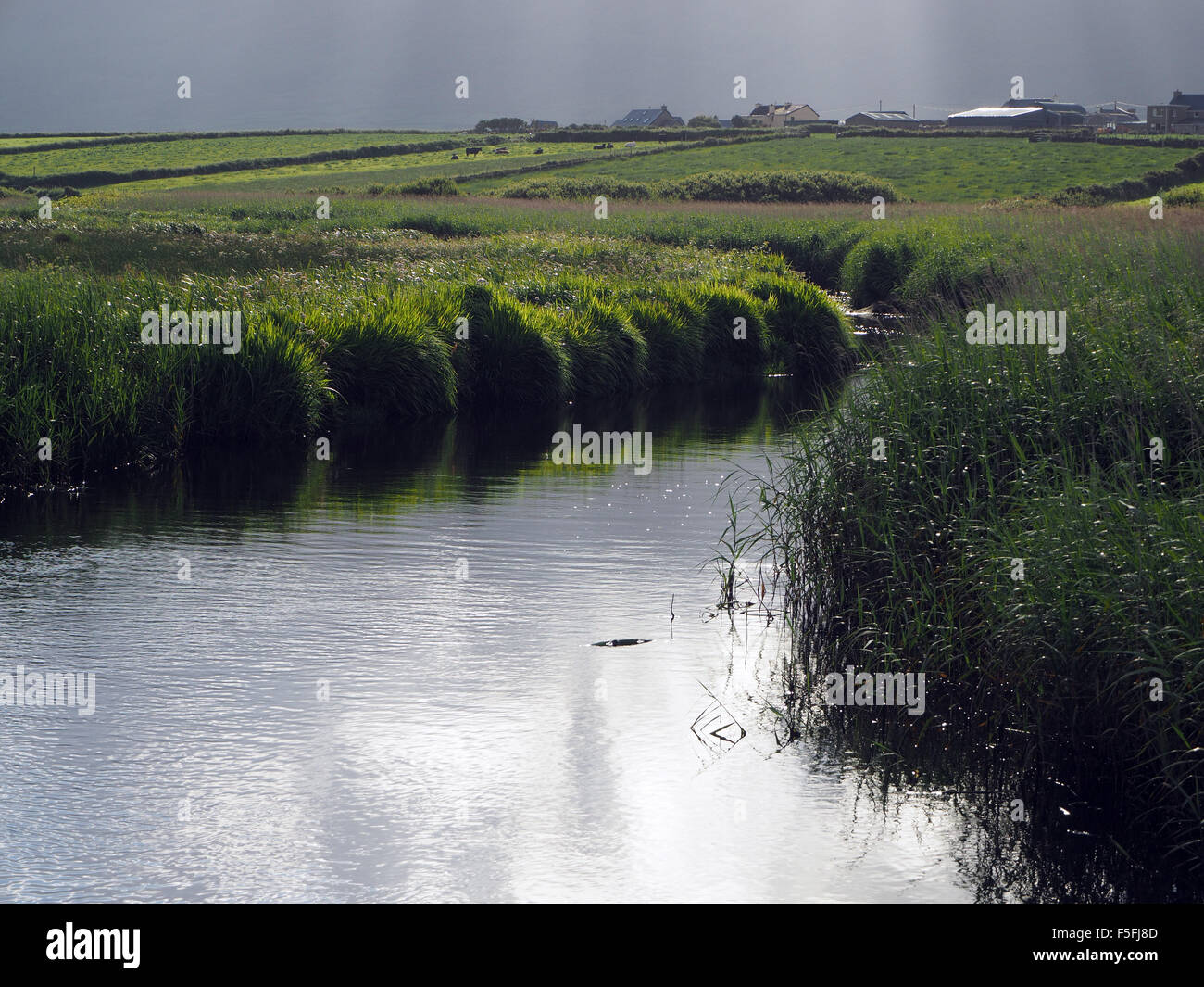 Vista pastorale oltre il fiume e canneti vicino Feohanagh Bay Ballydavid sulla penisola di Dingle con un luminoso cielo grigio e raggi solari Foto Stock