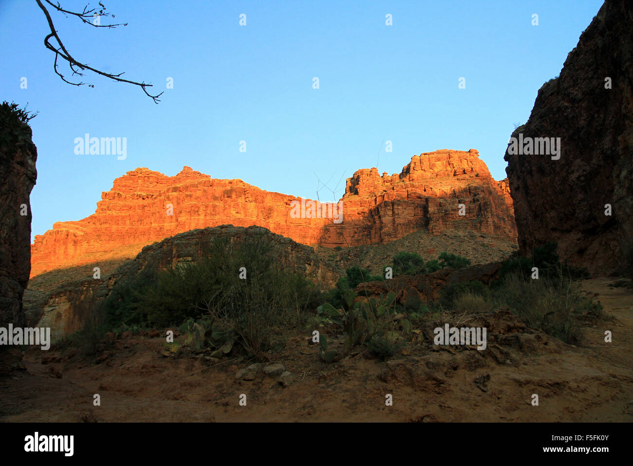 Escursionismo a havasu cade sul Havasupai Indian Reservation nel Parco Nazionale del Grand Canyon, STATI UNITI D'AMERICA Foto Stock