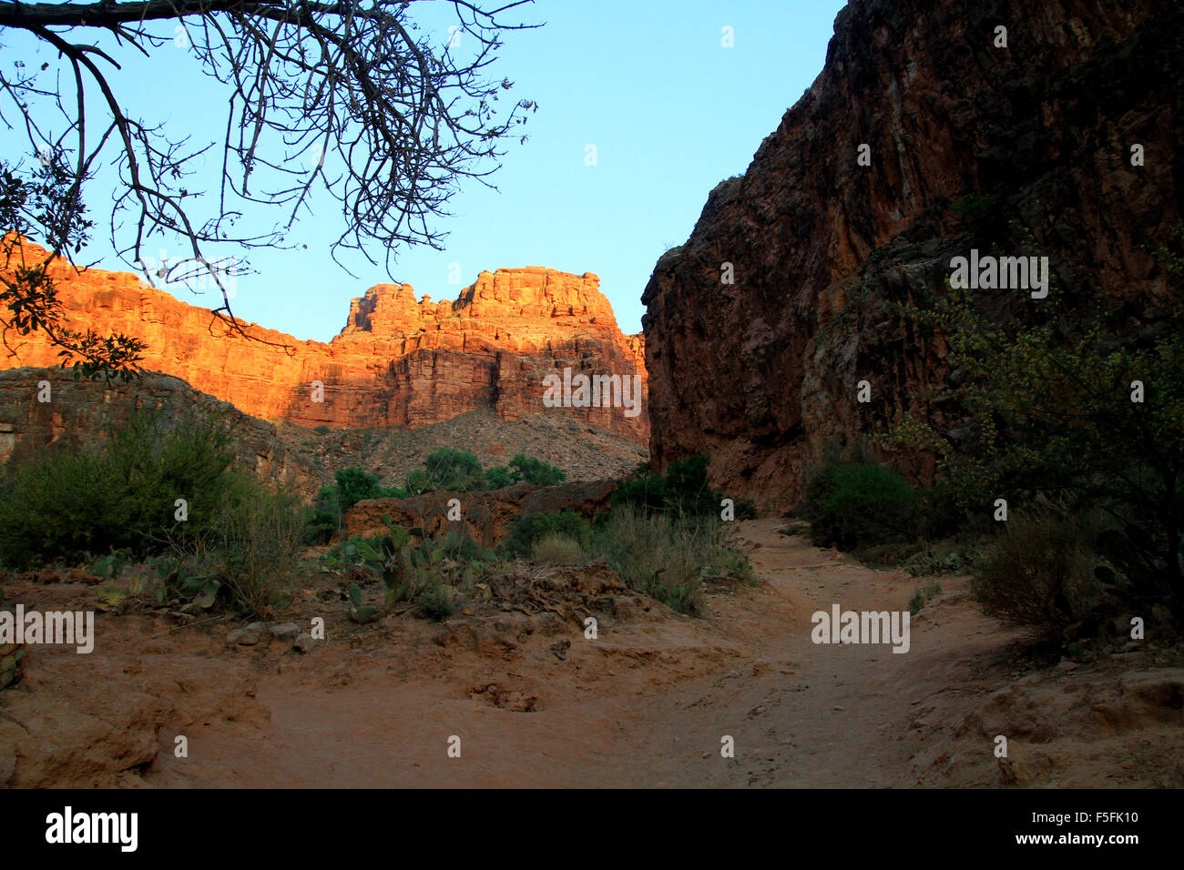 Escursionismo a havasu cade sul Havasupai Indian Reservation nel Parco Nazionale del Grand Canyon, STATI UNITI D'AMERICA Foto Stock