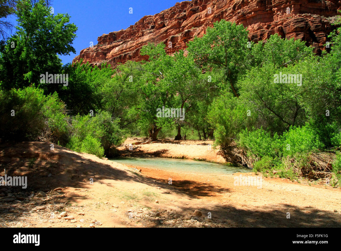 Escursionismo a havasu cade sul Havasupai Indian Reservation nel Parco Nazionale del Grand Canyon, STATI UNITI D'AMERICA Foto Stock