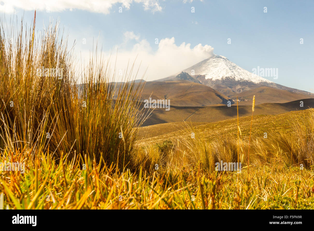 Il vulcano Cotopaxi 2015 eruzione del livello del suolo Shot Foto Stock