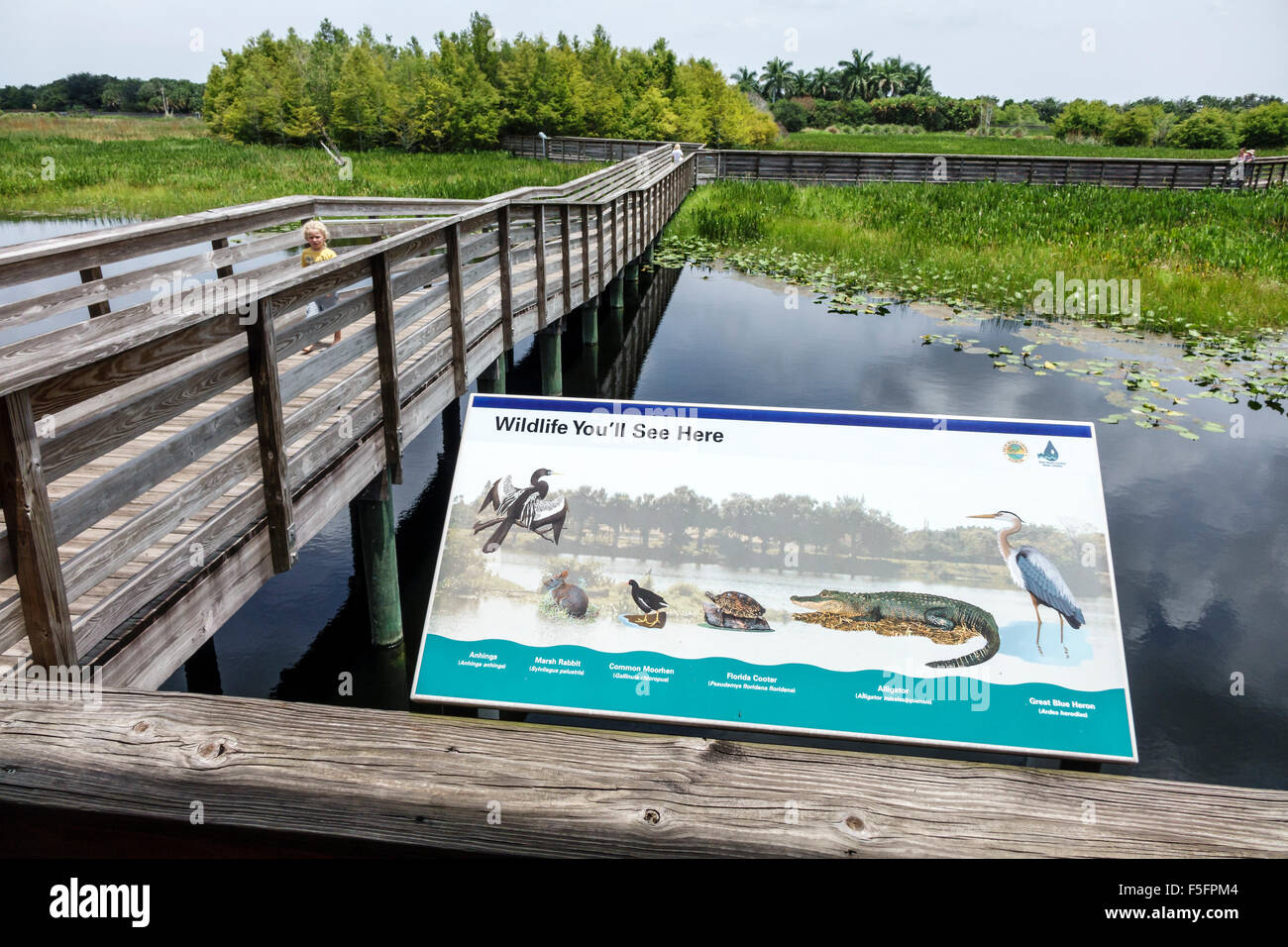 Delray Beach Florida, Green Cay Wetlands, riserva naturale, paludi d'acqua dolce, passeggiata rialzata, acqua, insegna, informazioni, visitatori viaggio tour touris Foto Stock