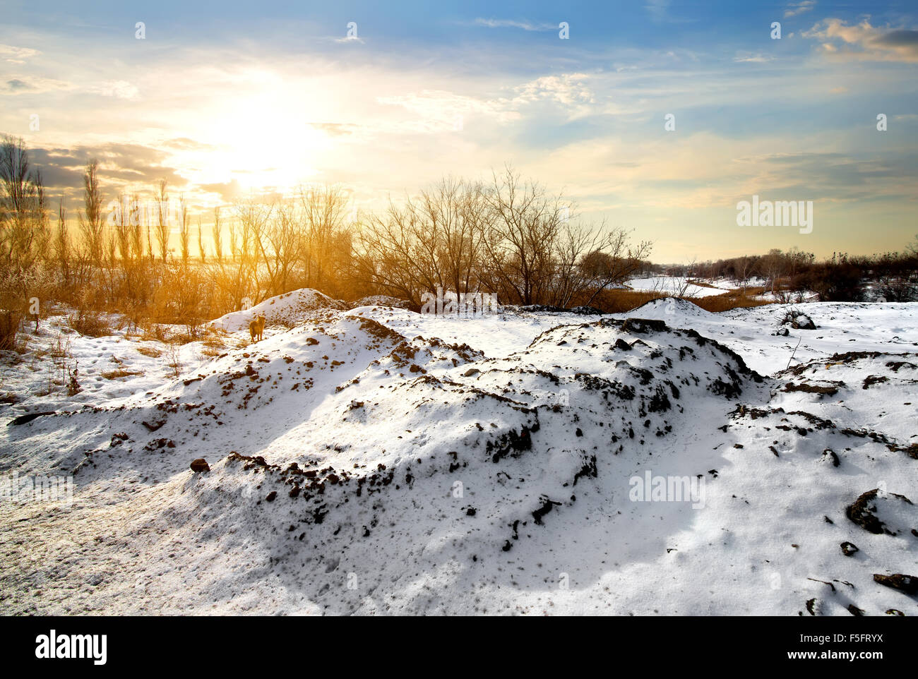 Campagna in inverno presso la luminosa alba Foto Stock