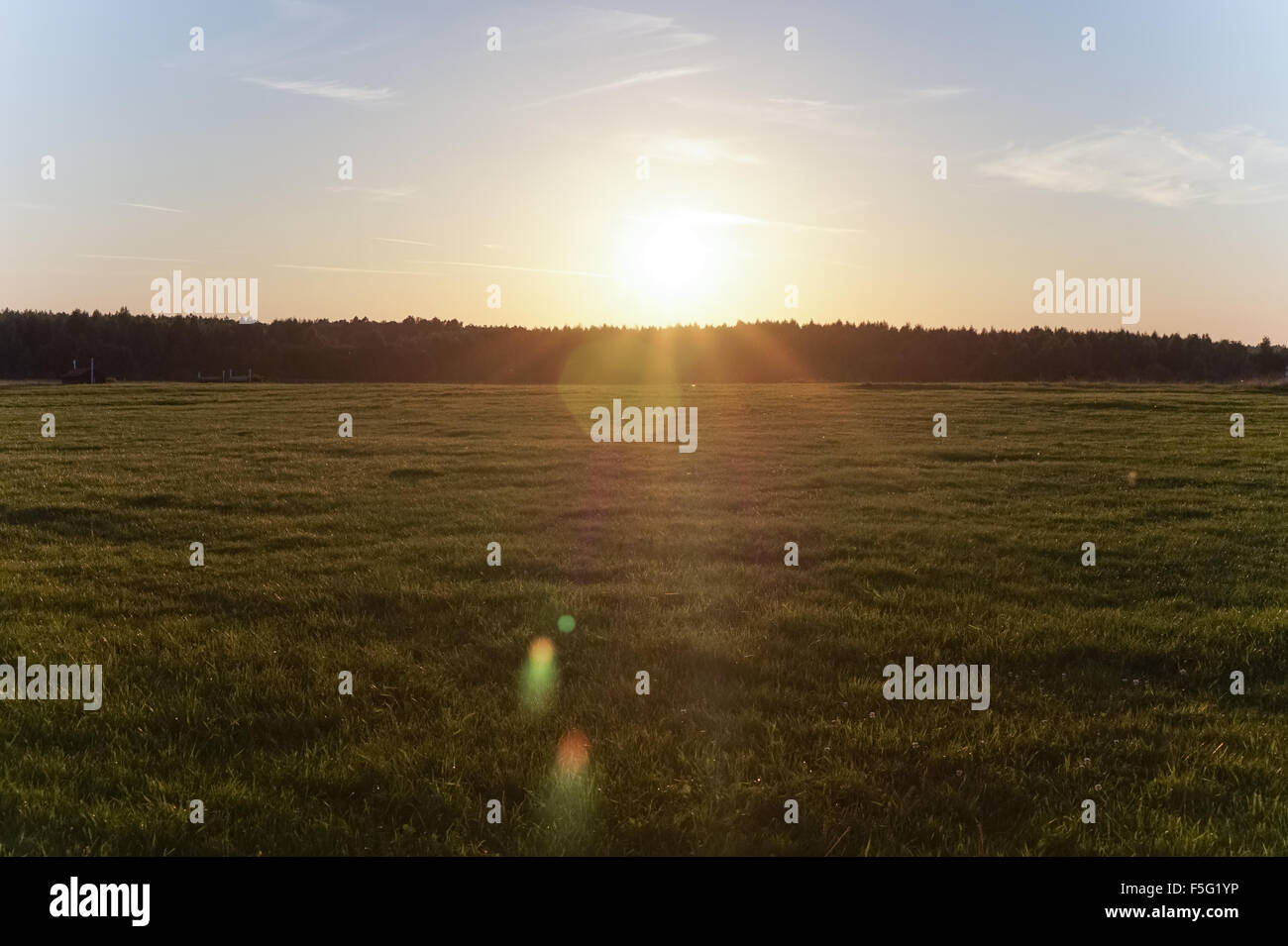 Brillante tramonto sul campo verde Foto Stock