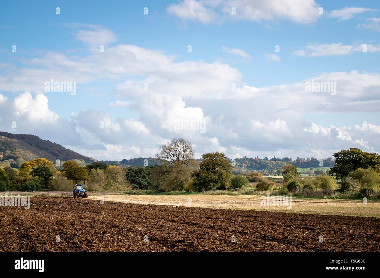 La lavorazione del terreno dopo la raccolta del mais in un campo Wiltshire nel mese di ottobre Foto Stock