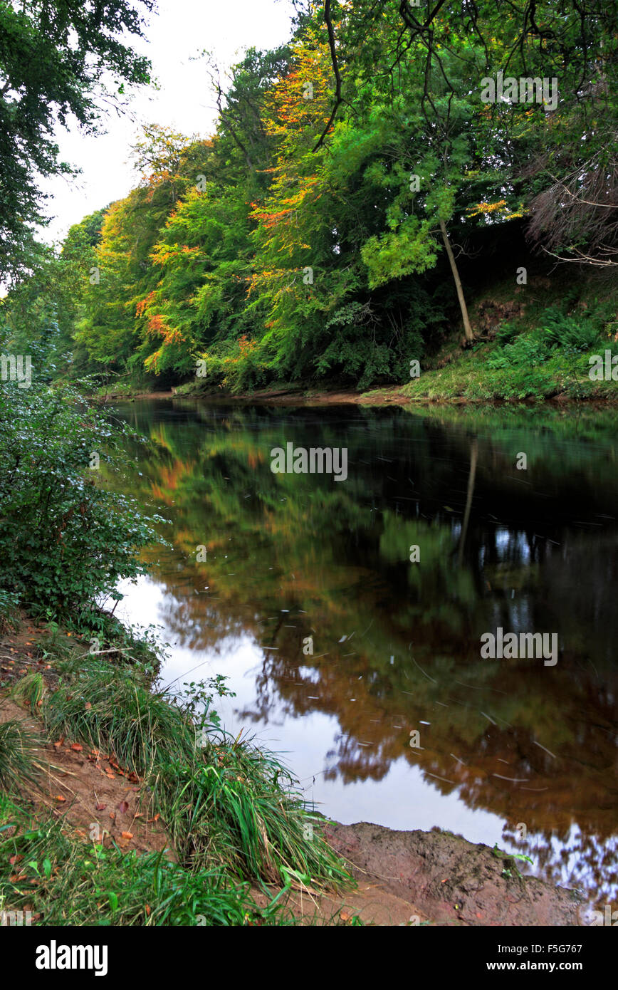Una vista del fiume North Esk in avvicinamento autunno vicino Edzell, Angus, Scotland, Regno Unito. Foto Stock