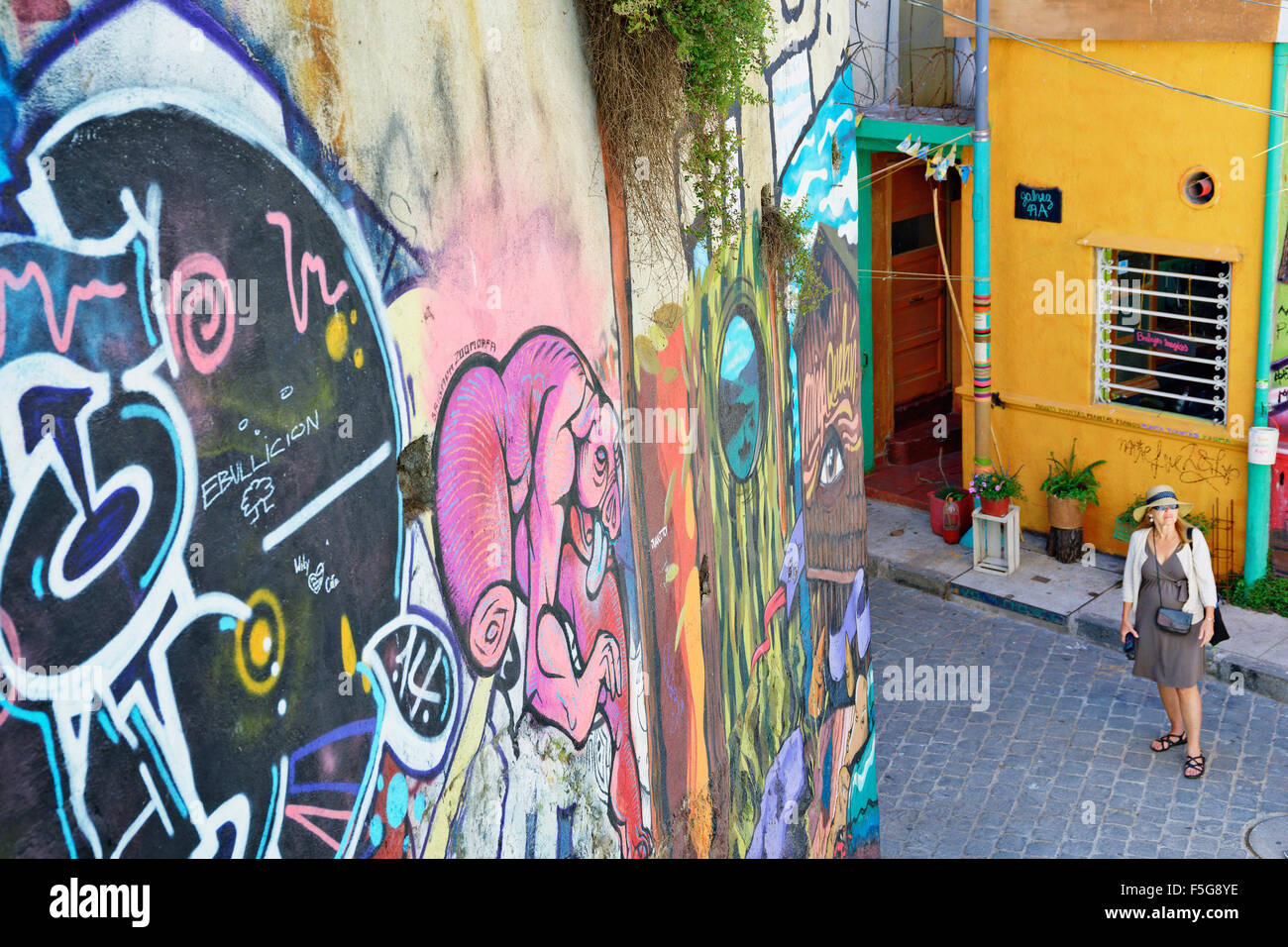 Arte di strada in Cerro Alegre (patrimonio mondiale dell'Unesco). Valparaiso, in Cile. Foto Stock