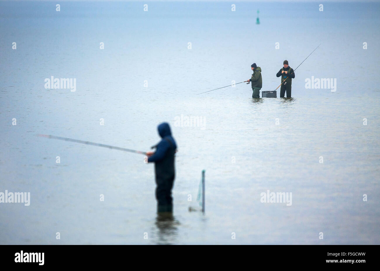 I pescatori pescare in acque poco profonde del Grosser Jasmunder Bodden sull isola di Ruegen vicino Lietzow, Germania, 04 novembre 2015. Il meteo in Germania settentrionale è definito dalla nebbia e temperature di circa otto gradi. Foto: Jens BUETTNER/dpa Foto Stock