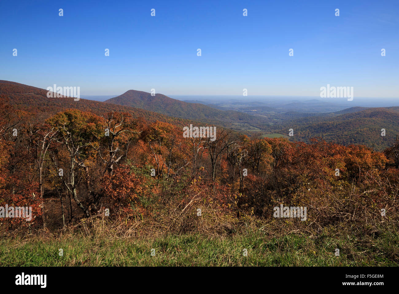 Skyline Drive si affacciano sul vicino Monte Hogback, Skyline Drive, Parco Nazionale di Shenandoah, Virginia Foto Stock