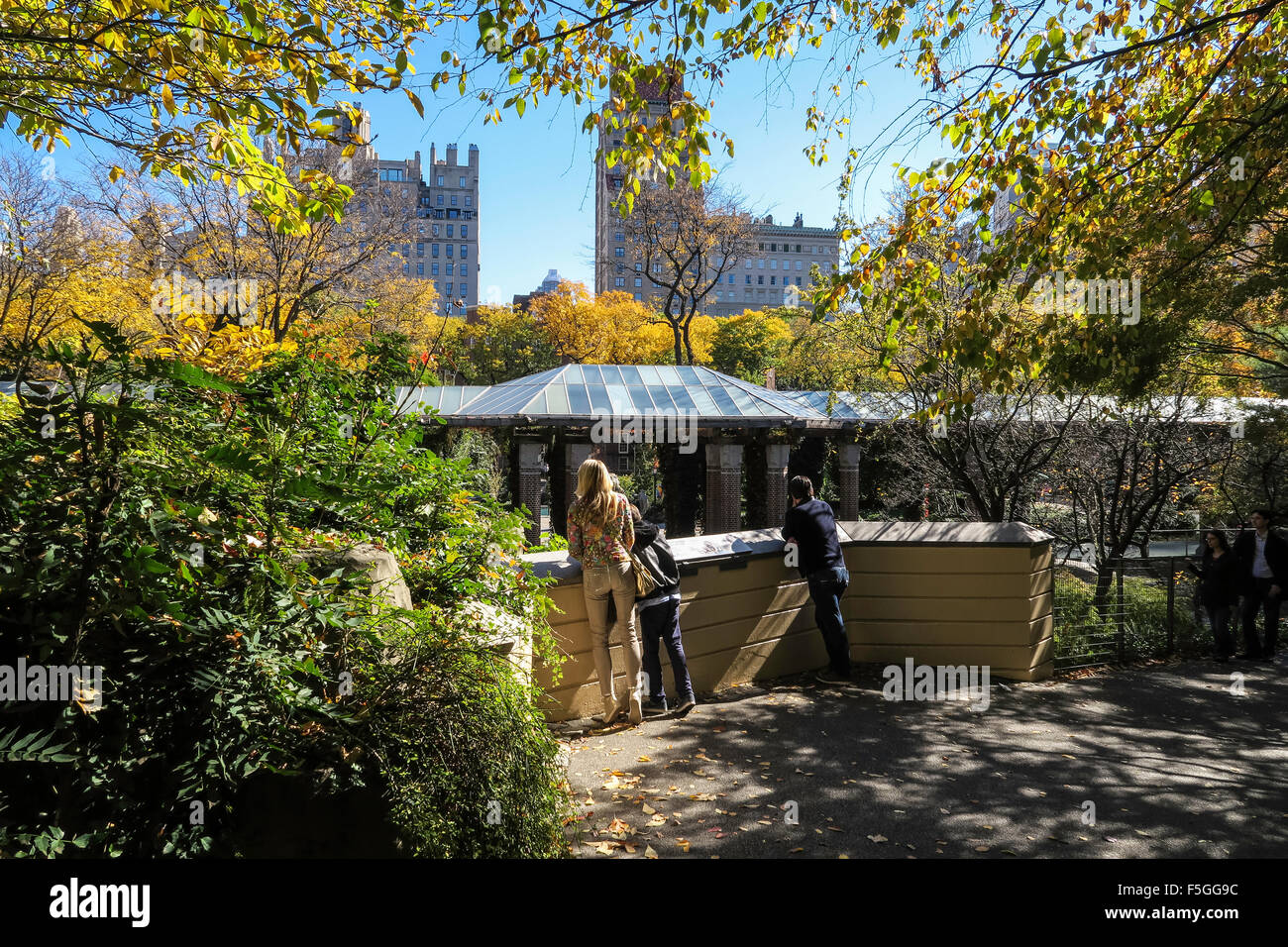 I visitatori si affacciano all'interno del Central Park Zoo, NYC, STATI UNITI D'AMERICA Foto Stock