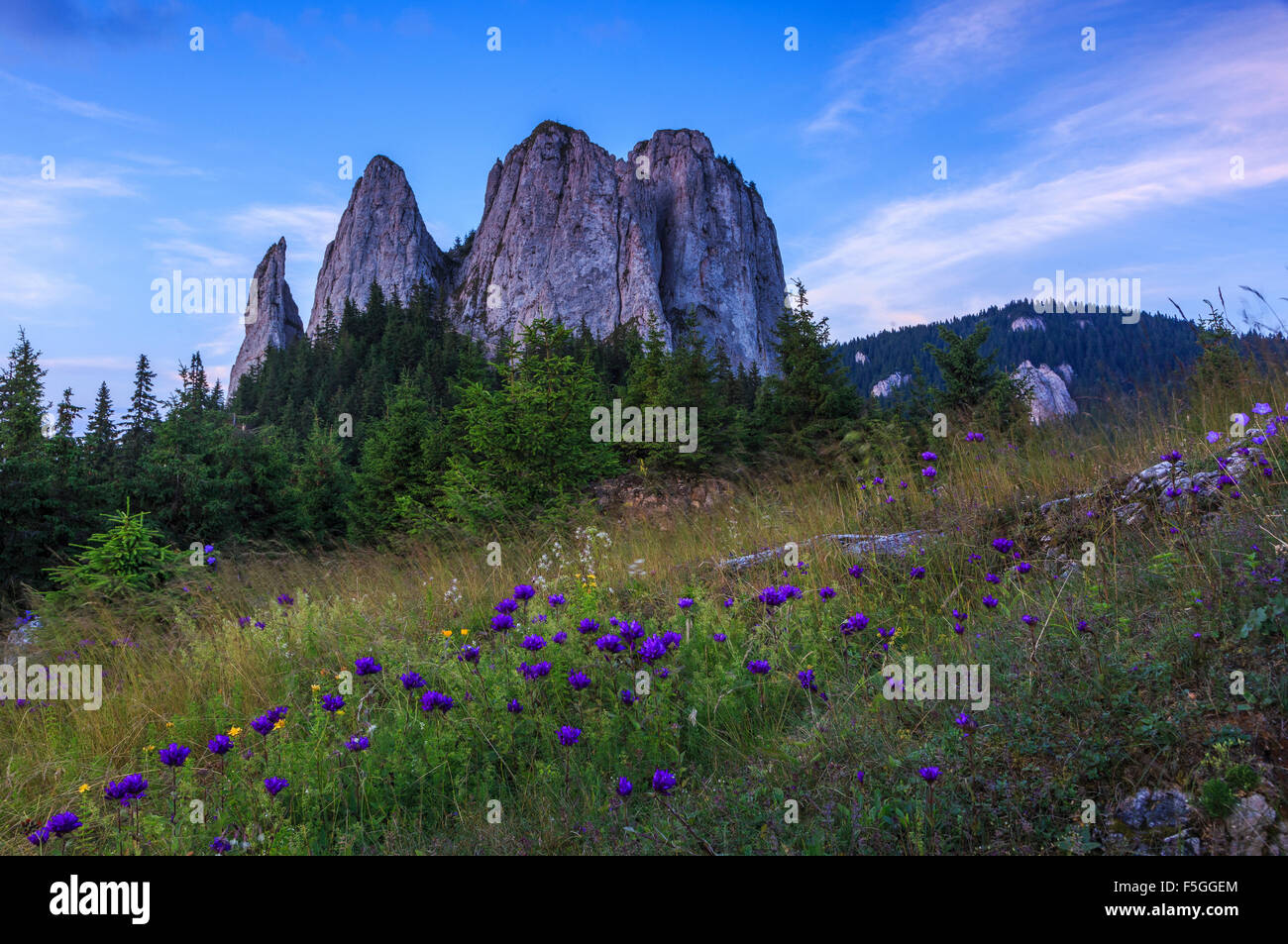 Paesaggio con torri rocciose e fiori in giù Foto Stock