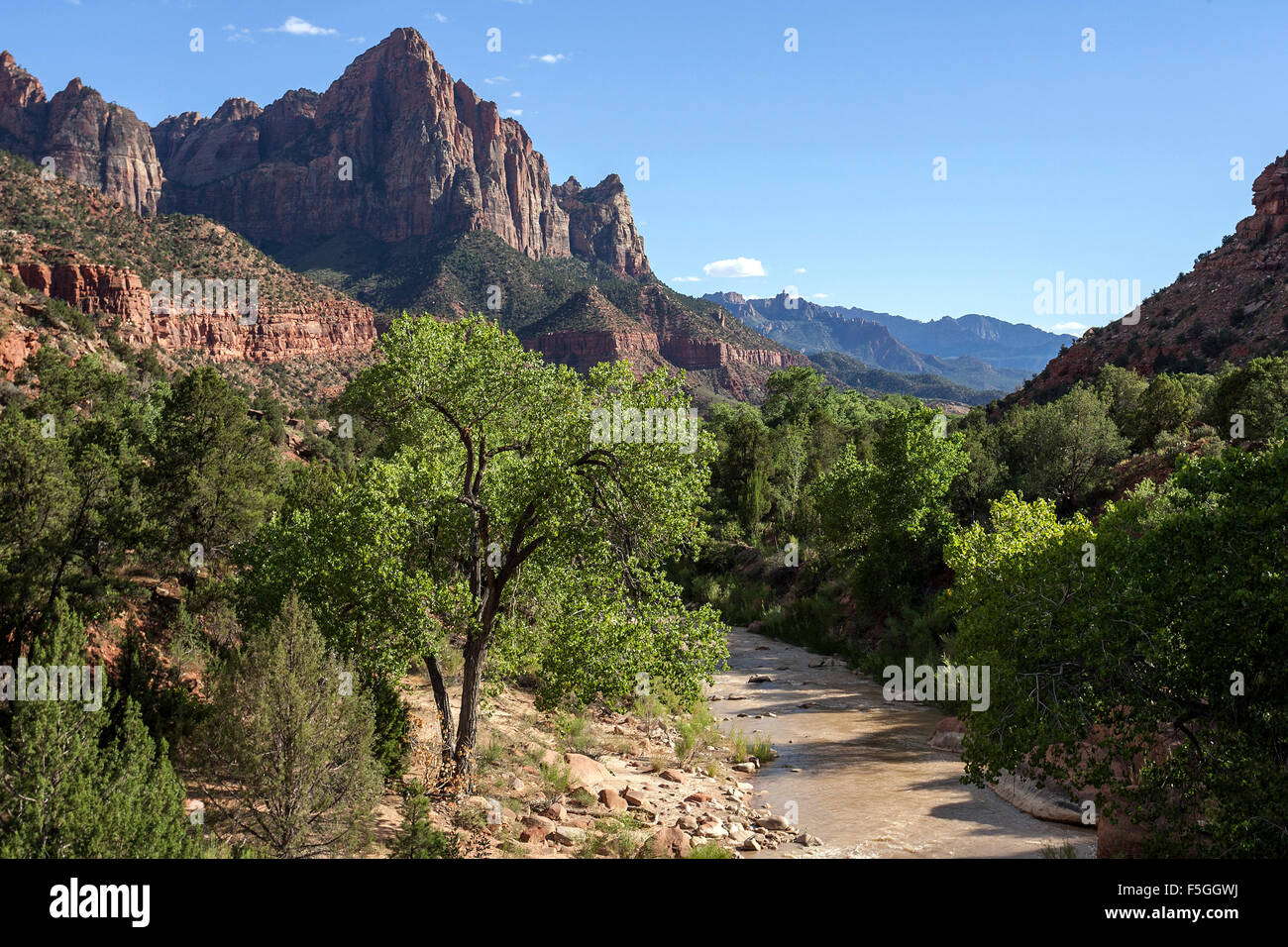 Vista verso la forcella del nord fiume vergine, Ponte montagna dietro, Parco Nazionale Zion, Utah, Stati Uniti d'America Foto Stock