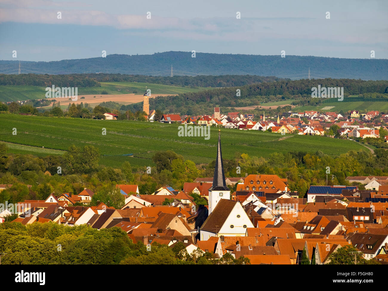 Nordheim am Main, Volkach dietro, Mainfranken, bassa Franconia, Franconia, Baviera, Germania Foto Stock