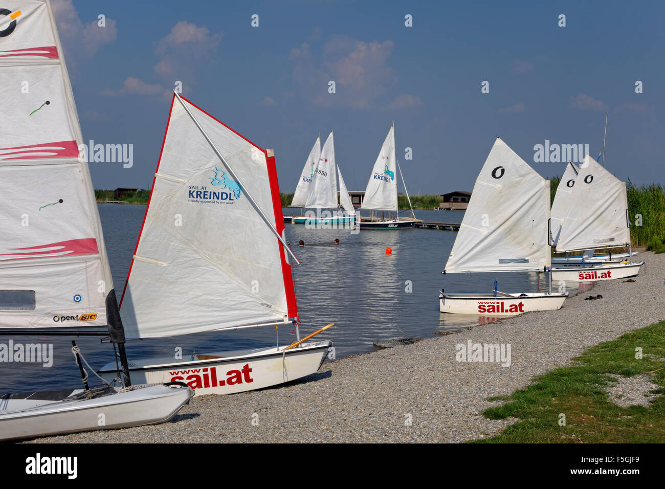 Scuola di vela a Strandbad ruggine, lido, il lago di Neusiedl, Ruster Bucht, Burgenland, Austria Foto Stock