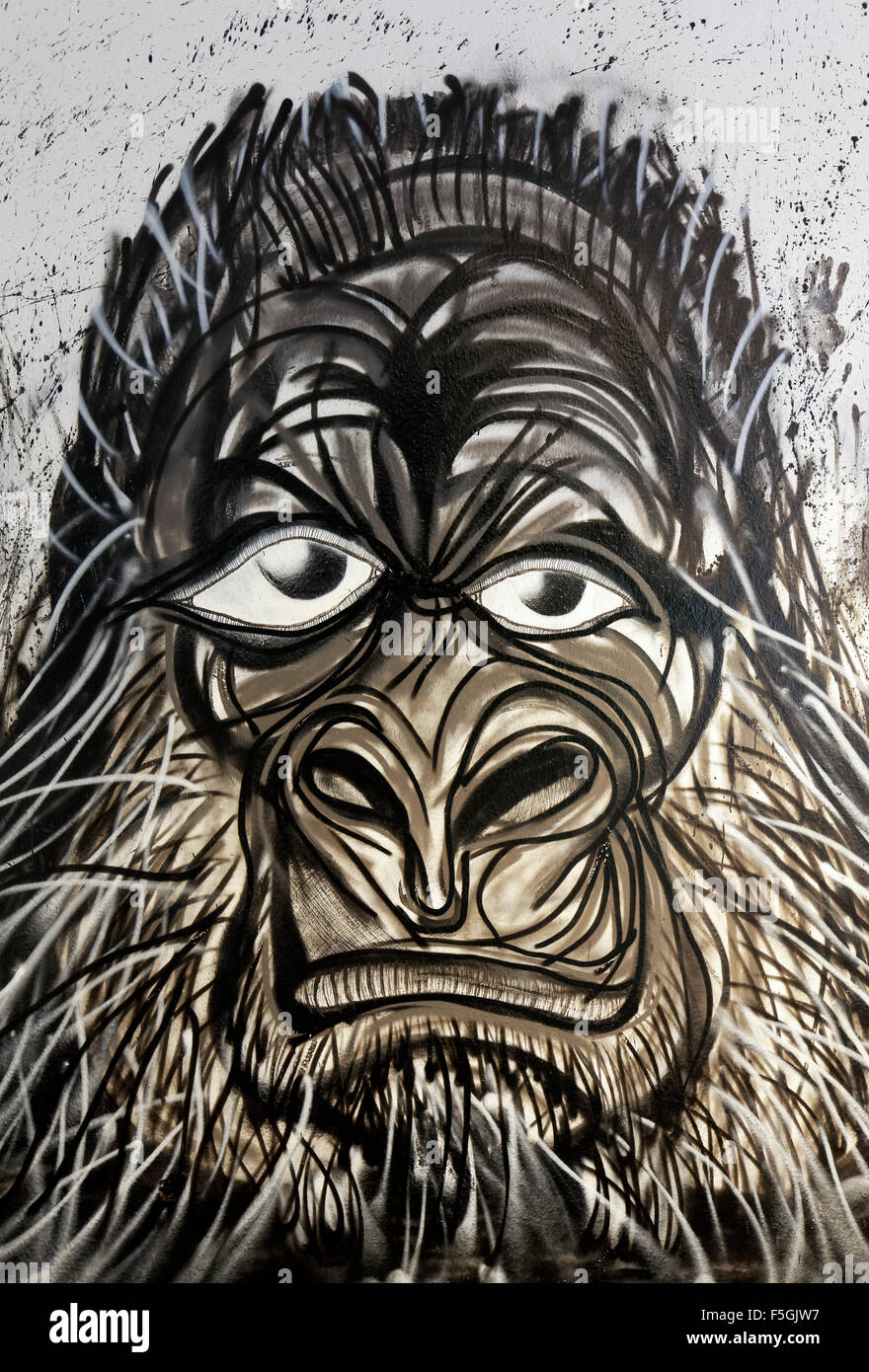 Gorilla, graffiti, arte di strada, Dusseldorf, Renania settentrionale-Vestfalia, Germania Foto Stock