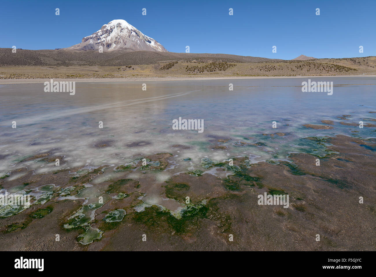 Vulcano sajama e lago ghiacciato sul rio sajama, Sajama Parco Nazionale, Oruro, il confine tra la Bolivia e il Cile Foto Stock