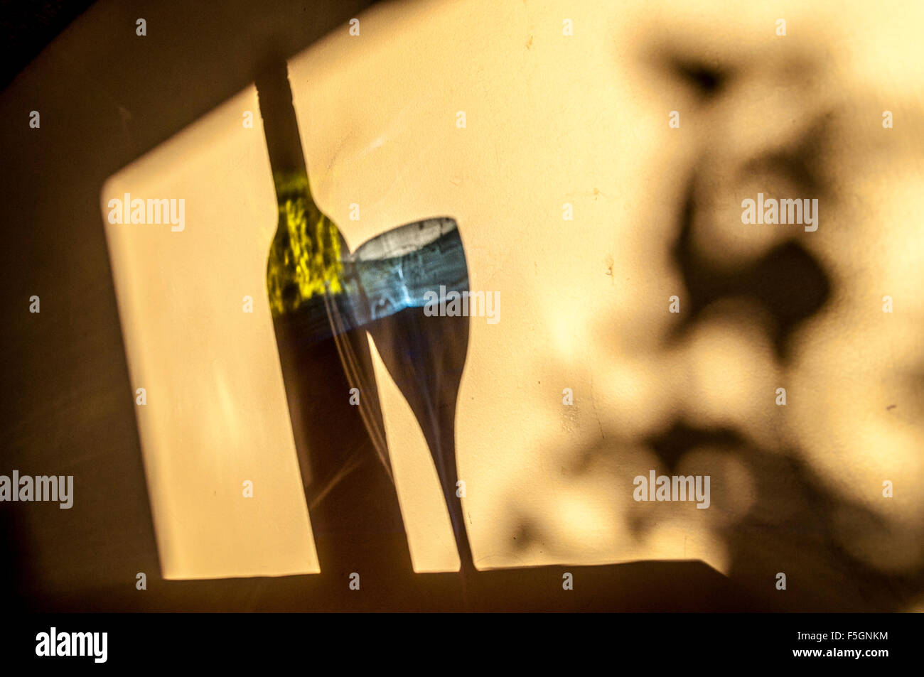 Ancora vita riflessioni di bottiglie di vino e il vetro con ombra di piante Foto Stock