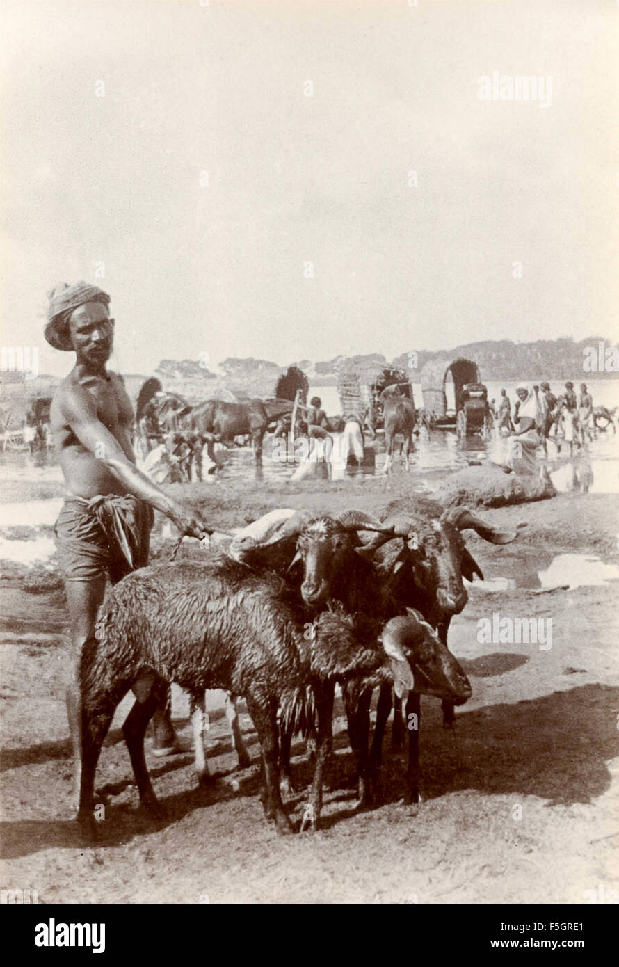 Un uomo con una capra al guinzaglio, India Foto Stock