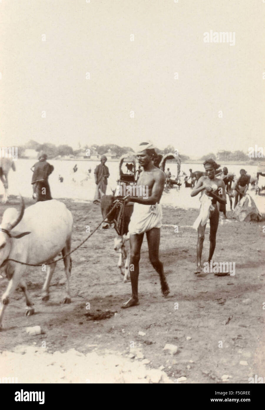 Un uomo con una mucca al guinzaglio, India Foto Stock