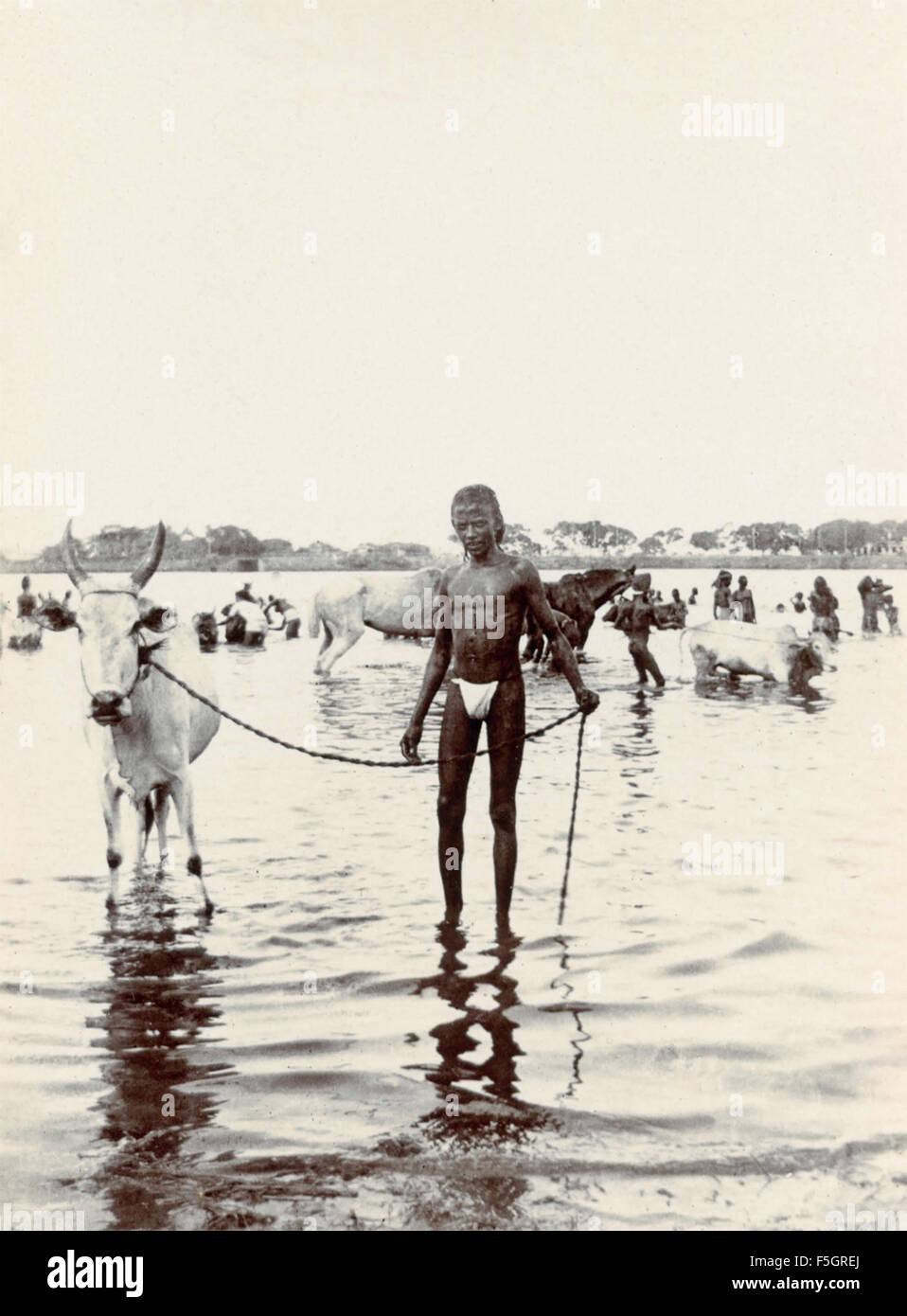 Un uomo con una mucca al guinzaglio, India Foto Stock