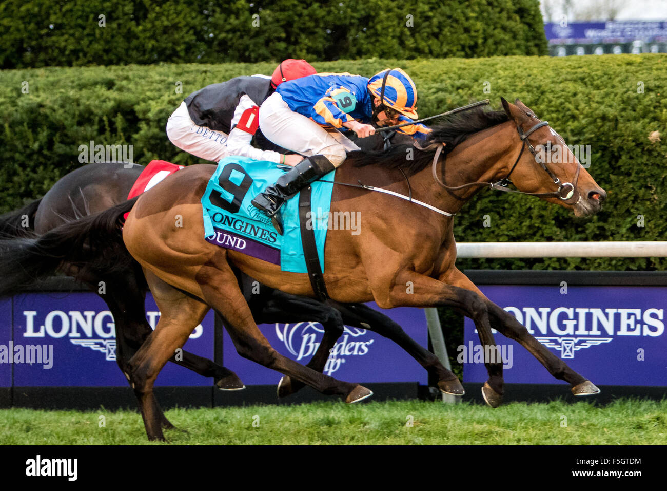 Lexington, Kentucky, Stati Uniti d'America. 31 ott 2015. Ottobre 31, 2015 : trovato (IRE), cavalcato da Ryan L. Moore, vince il Longines Breeders' Cup Turf Grado (MI) in Lexington, Kentucky, il 31 ottobre 2015. Luisa Rossi Kawczynski/ESW/CSM/Alamy Live News Foto Stock