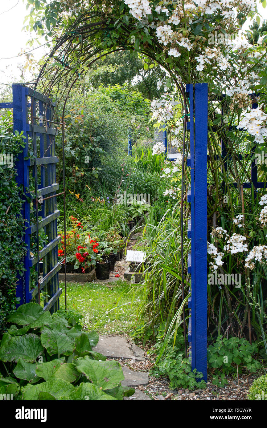 Porta arcuata con fiori di arrampicata Foto Stock