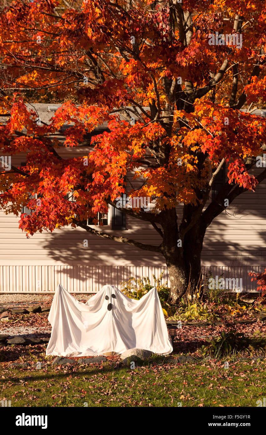 Decorazioni di Halloween e figure, Stowe Vermomt, VT, STATI UNITI D'AMERICA Foto Stock