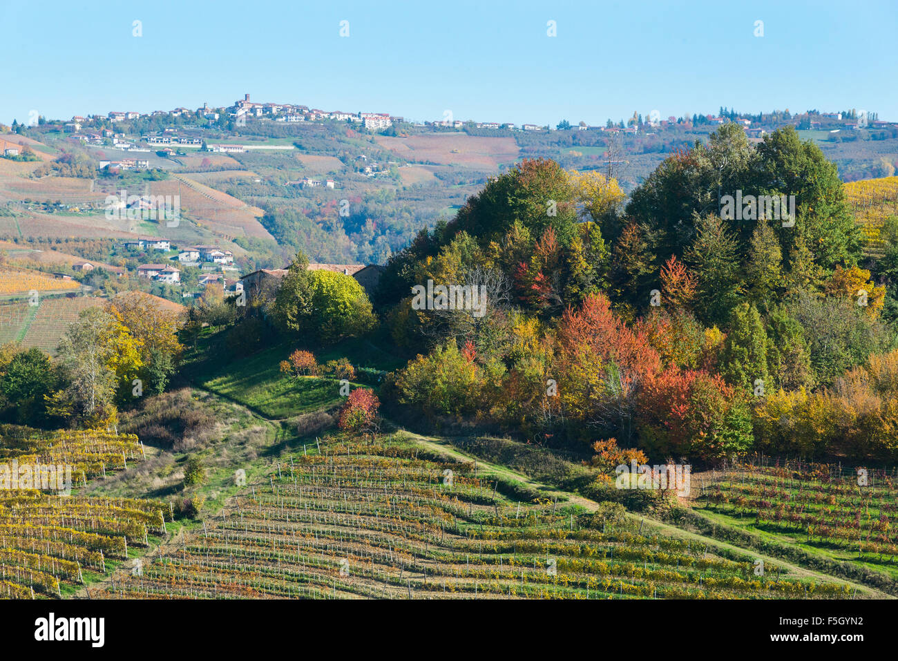 Il Piemonte, Italia, panorama di vigneti del Piemonte: Langhe-Roero e Monferrato nella lista del Patrimonio Mondiale dell'UNESCO. Foto Stock
