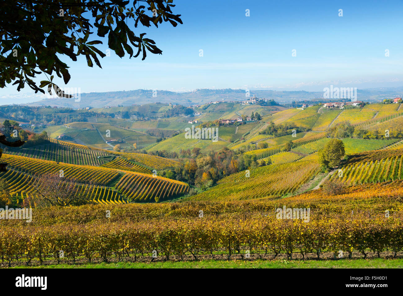 Il Piemonte, Italia, panorama di vigneti del Piemonte: Langhe-Roero e Monferrato nella lista del Patrimonio Mondiale dell'UNESCO. Foto Stock
