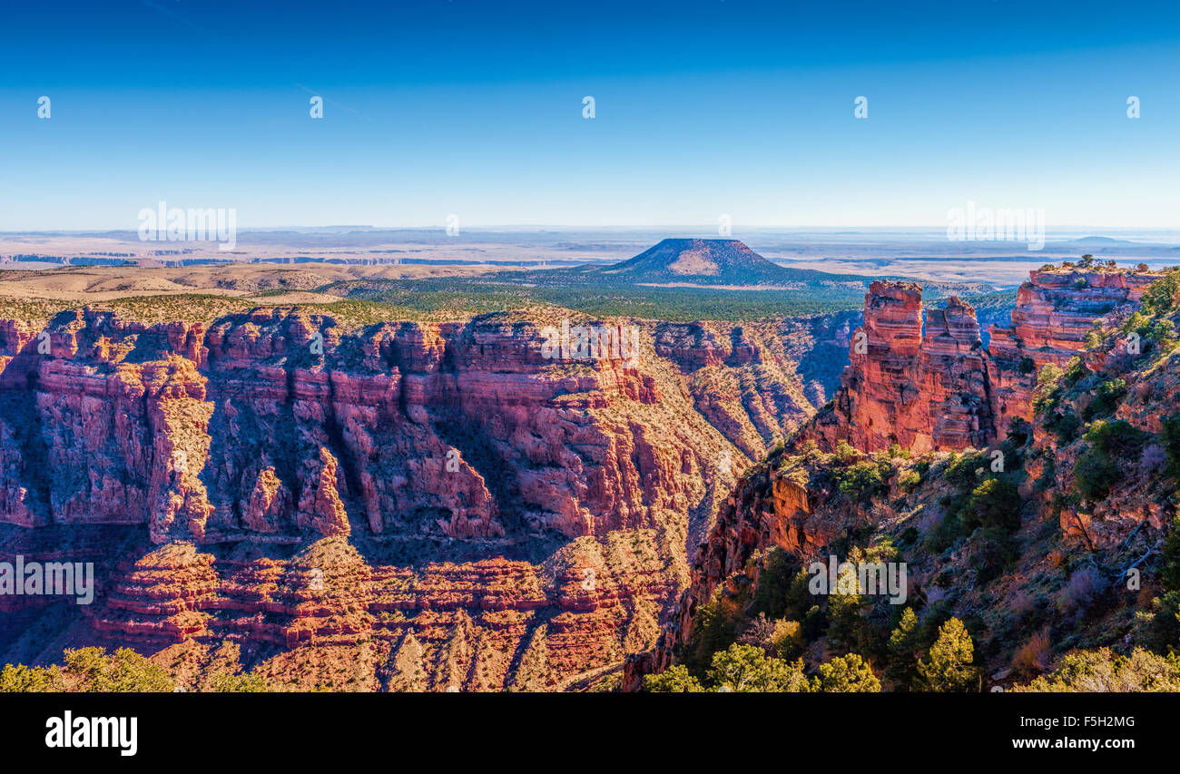 Il Grand Canyon, Cedar Mountain in vista del deserto, Arizona, Stati Uniti d'America Foto Stock