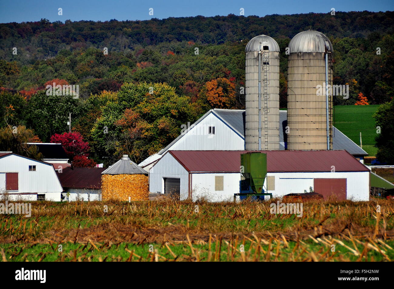 Lancaster County, Pennsylvania: incontaminata fattoria Amish con silos granai e riempito di un presepe di mais * Foto Stock