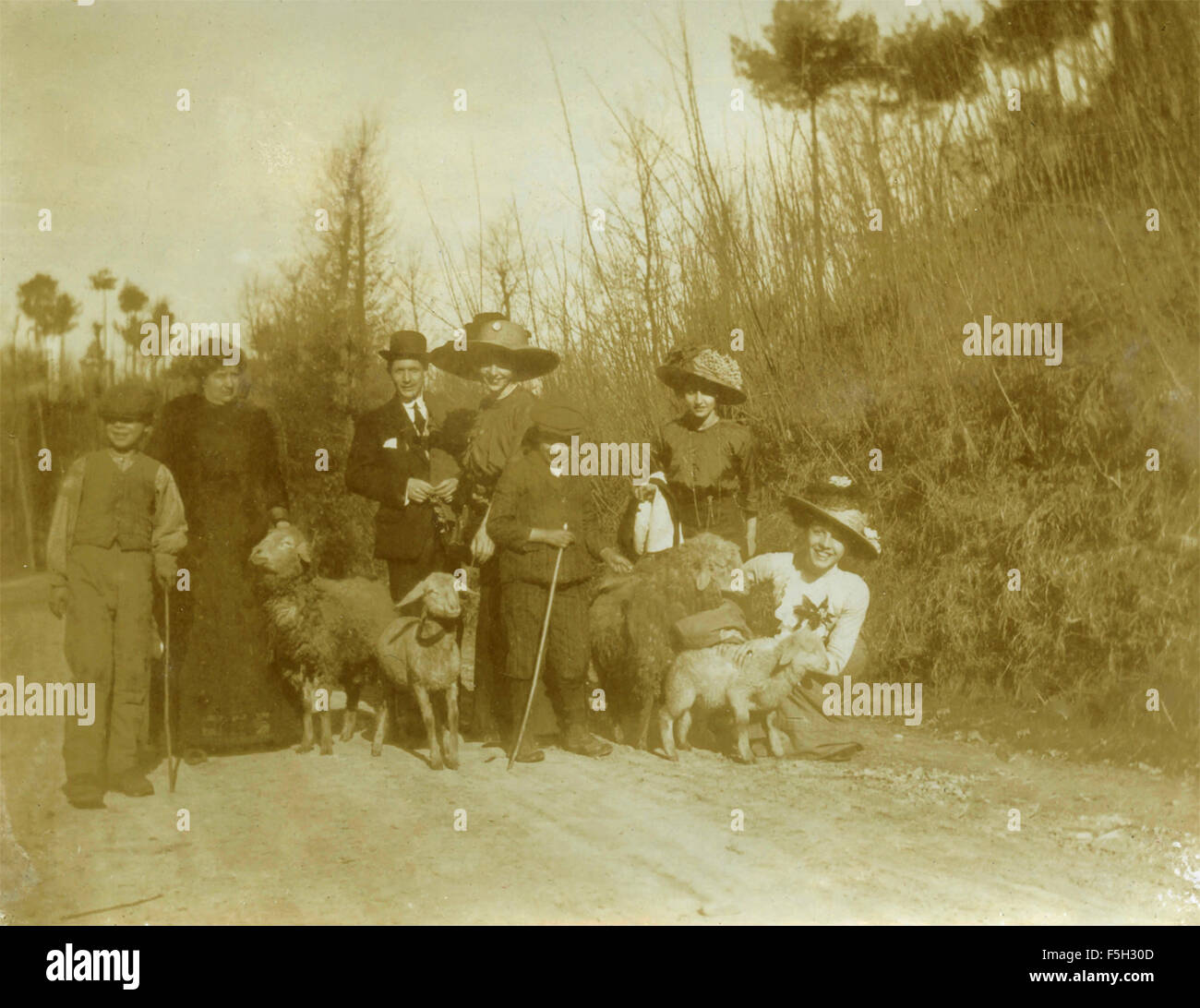 Gruppo del paese con pecore e pastore, Italia Foto Stock