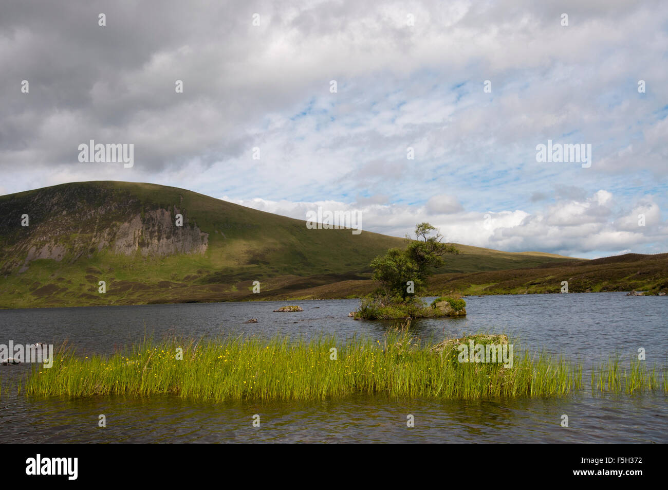 Guardando sul Loch Skene, Dumfries and Galloway Foto Stock