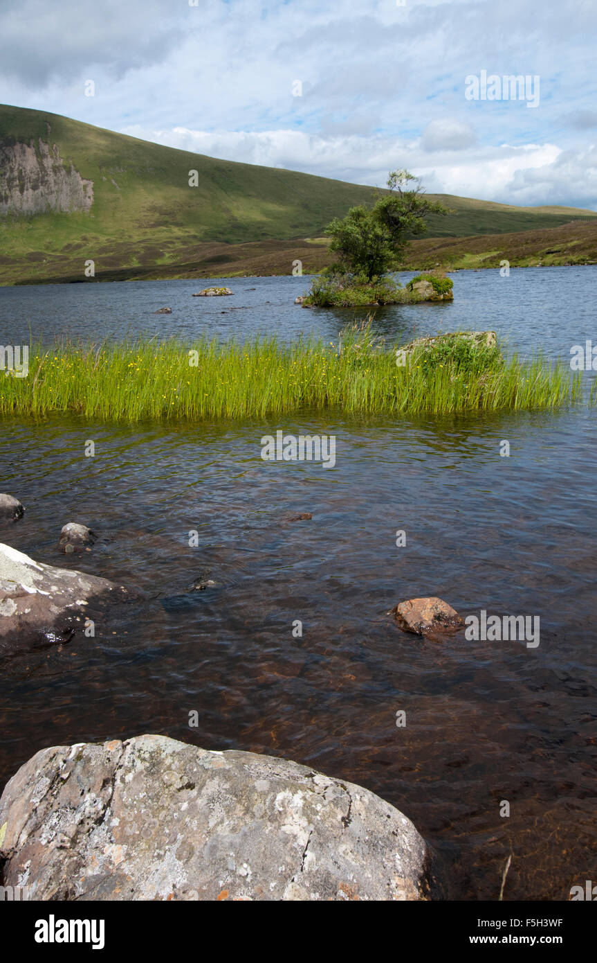 Guardando sul Loch Skene, Dumfries and Galloway Foto Stock