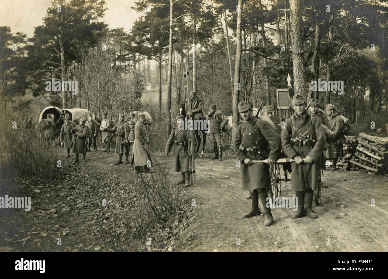 Le truppe del Regio esercito italiano nel bosco Foto Stock
