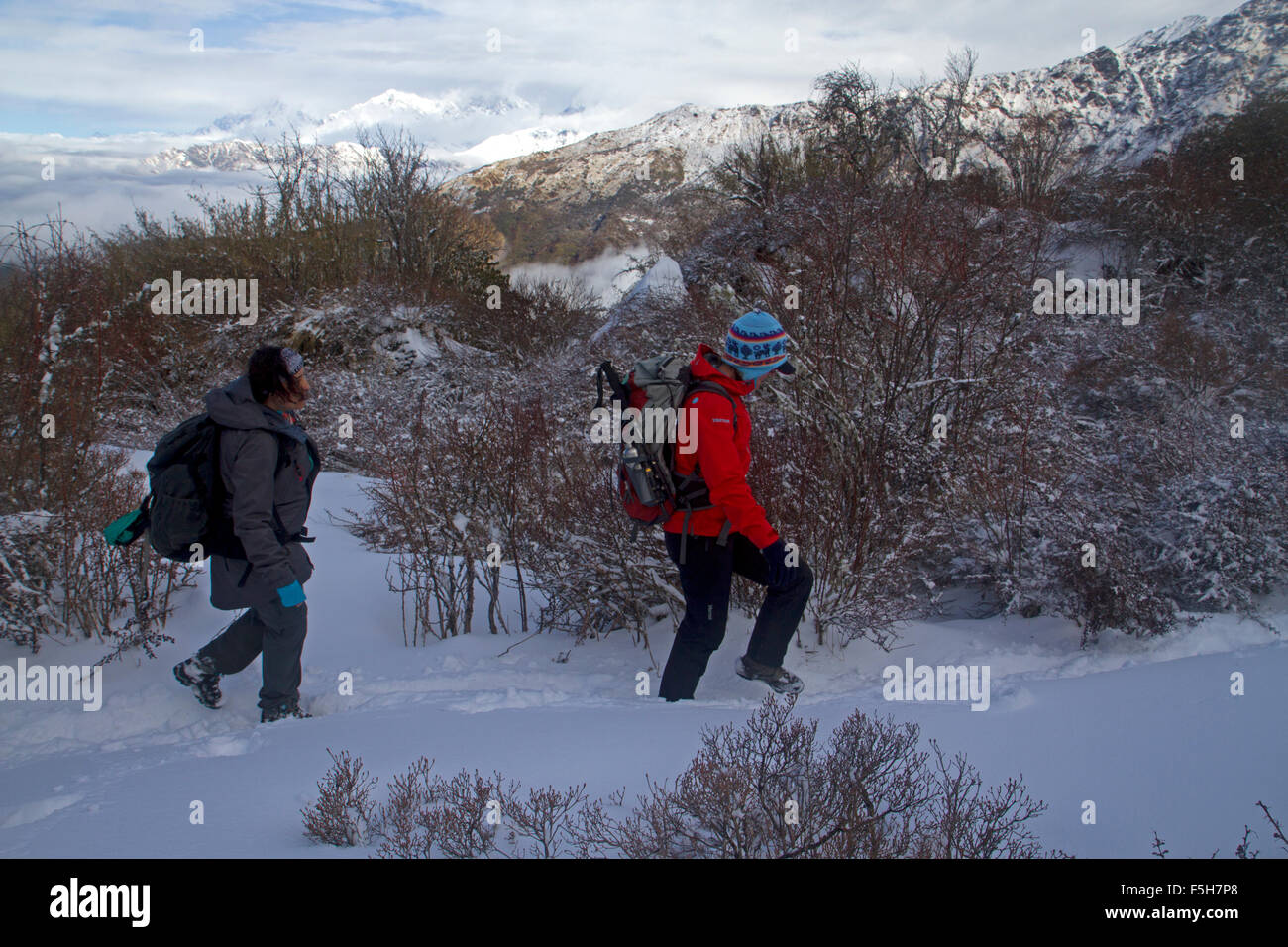 Trekking attraverso la neve al Annapurnas Foto Stock