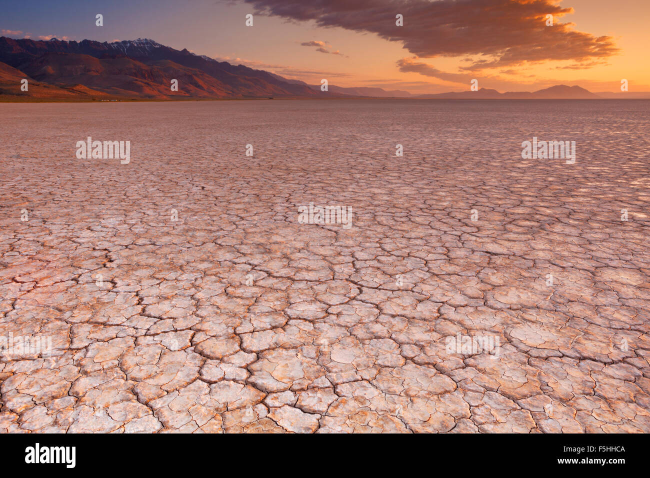 Massa rotto nel Alvord Playa, un dry lakebed nel deserto Alvord nel sud-est della Oregon, Stati Uniti d'America. Fotografato a sunrise. Foto Stock