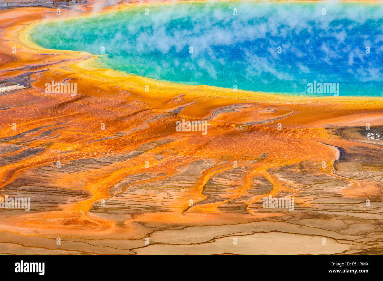 Grand Prismatic Spring, Midway Geyser Basin, il Parco Nazionale di Yellowstone, Wyoming USA Foto Stock